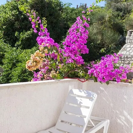 House Prica Guest house 3*