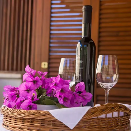 Guest house House Prica