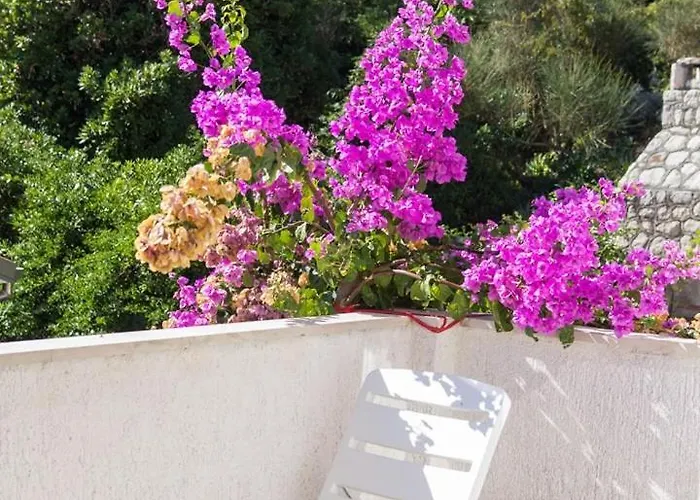 House Prica بيت ضيافة 3*